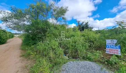 Ótimo lote para venda em excelente área residencial - Gravatá/PE