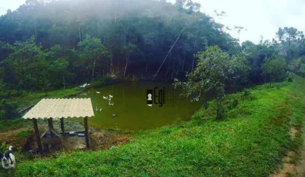 Sítio com 3 dormitórios à venda, 290000 m² por R$ 650.000,00 - Sem Bairro - Lima Duarte/MG