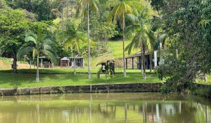 Sítio com 6 dormitórios à venda, 316000 m² por R$ 1.199.000,00 - Floresta - Juiz de Fora/MG