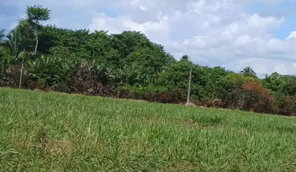 Lote de chácara