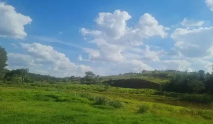 ÁREA RURAL A VENDA EM JARINU - AT: 10 ALQUEIRES - ÓTIMA TOPOGRAFIA