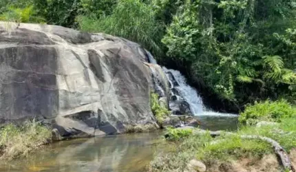 FAZENDA COM 385 HECTARES | Á VENDA | MASCOTE - BAHIA