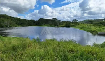 FAZENDA COM 223 TAREFAS  FEIRA DE SANTANA-BA