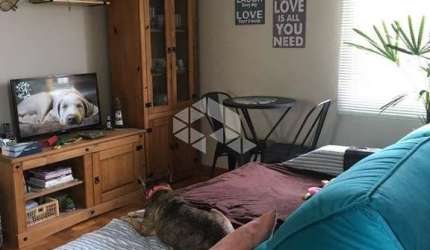 Apartamento com 1 quarto à venda na Rua Barão do Amazonas, 1559, Partenon, Porto Alegre por R$ 239.980