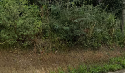 Terreno rua Martim Pescador em área industrial