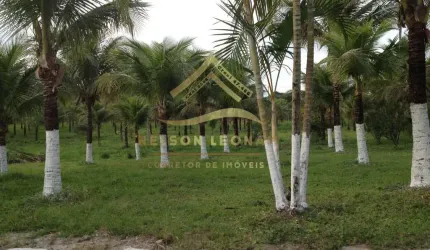Área à venda em Itaboraí, Granjas Mirassol (Pachecos), 10150m²