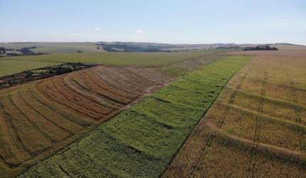 Sítio à venda em Maringá, Jardim São Domingos, com 60500 m²