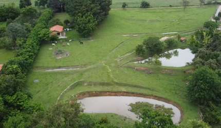 SITIO MUITO BEM LOCALIZADO, BOA TOPOGRAFIA, RICO EM AGUA