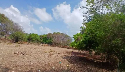 Excelente Terreno em Cotovelo