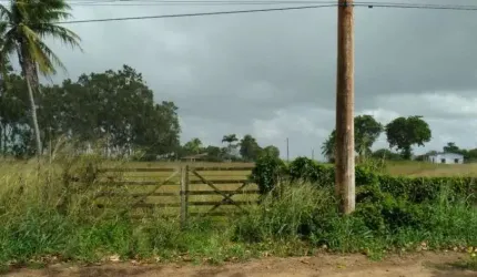 Fazenda à venda, 345000 m² por R$ 1.200.000,00 - Centro - Monte Alegre/RN