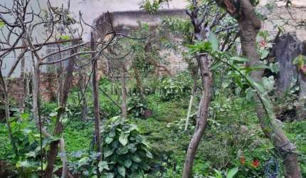 Casa com 3 quartos à venda na Avenida Doutor Hugo Beolchi, --, Jabaquara, São Paulo, 140 m2 por R$ 954.000