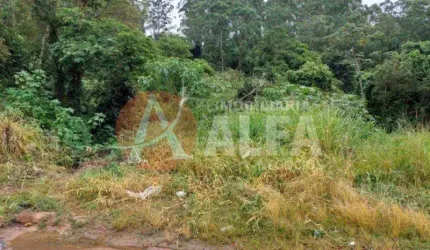TERRENO 536M² (V) - CENTRO - COTIA / SP
