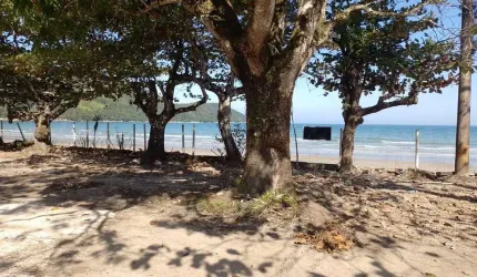 Excelente terreno com 1.165,32m2 de frete pro mar na praia da enseada Ubatuba-SP.