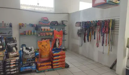 Residencia com ponto comercial em Ubatuba aceita imóvel como parte de pagamento.