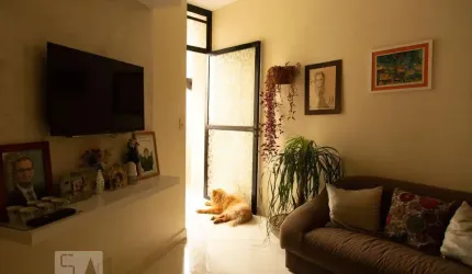 Apartamento para Aluguel - Moema, 1 Quarto,  38 m² - São Paulo