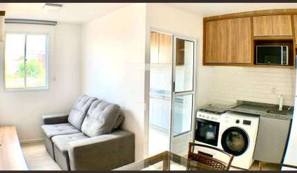 Apartamento para Aluguel - Cambuci, 1 Quarto,  30 m² - São Paulo