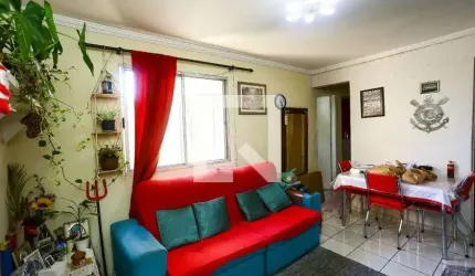 Apartamento para Aluguel - Raposo Tavares, 2 Quartos,  50 m² - São Paulo