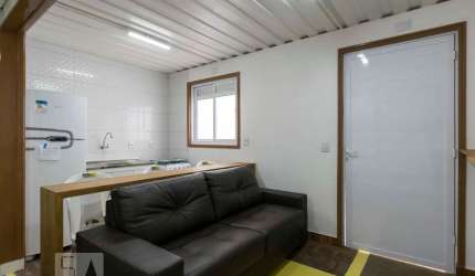Apartamento para Aluguel - Cambuci, 2 Quartos,  43 m² - São Paulo