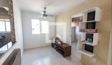 Apartamento para Aluguel - Cambuci, 1 Quarto,  33 m² - São Paulo