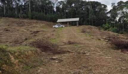 Terreno 21.000m2 São Pedro de Alcantara 8342