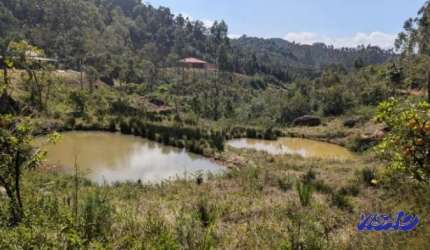 Sítio 30.000m2 Anitápolis 82789