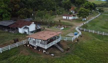 FAZENDA CACHOEIRA DE MACACU