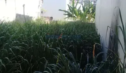 Terreno à venda na Avenida Cláudio Celestino Toledo Soares, s/n°, Jardim Paraíso, Campinas por R$ 352.000