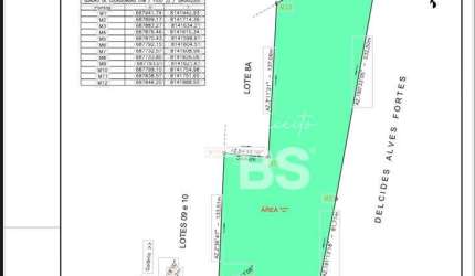 EXCELENTE AREA COMERCIAL AS MARGENS DA BR 153 - IDEAL PARA GALPOES , EMPRESAS DE LOGISTICA