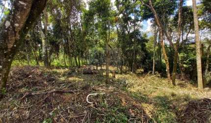 Terreno para Chácara em Cajamar / Ponunduva