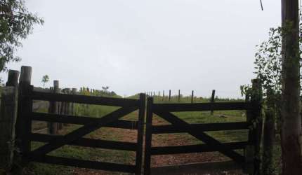 Fazenda em Miranda com 231ha