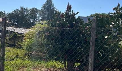 Terreno de 250 metros no bairro Estoril Taubaté SP