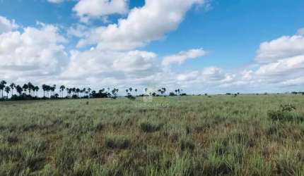 Fazenda Boa Vista Roraima