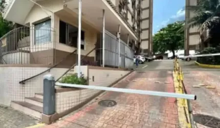 Lindo apartamento, pronto para morar!