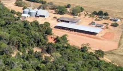 Fazenda a venda dupla Aptidão Campo Novo dos Parecis