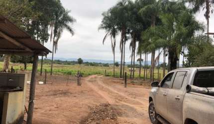 Fazenda à Venda  110 Hectares | Exclusiva para Pecuária | Próxima de