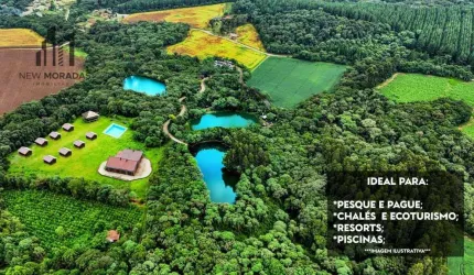 Chácara à venda, 88.438 m² - Bairro Bom Jesus - Rio Negro/PR