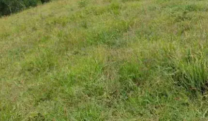 Chácara com 2 dormitórios à venda, 60000 m² por R$ 600.000 - Zoneamento e Uso do Solo Urbano - Lapa/PR