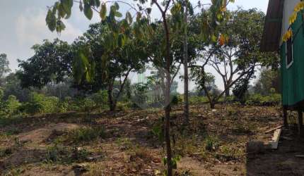 Área a venda no Amazonas