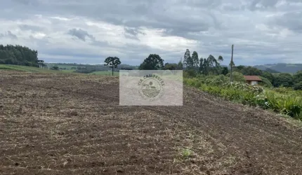 Sítio com 48.000 m², todo limpo, ótimo para plantação, analisa permuta parcial