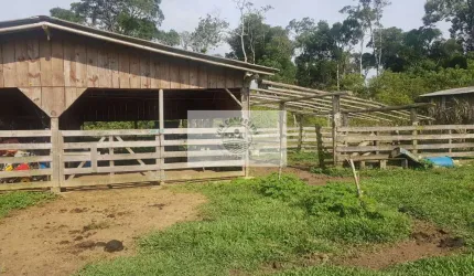 Sítio com 59.800 m2, com residência, nascente, horta