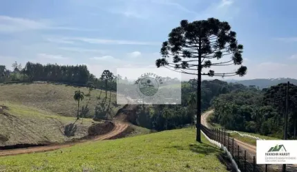 Terreno Condomínio Fechado em Campo Alegre, escriturado, aceita carro no negocio