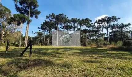 Terreno 8.142 m², escriturado, pode ser financiado pelo banco, varias opções de lotes