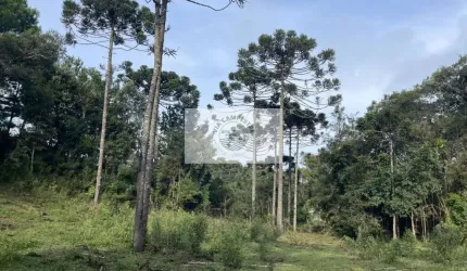 Sítio com 30.000 m², com nascente e riacho, próximo ao Sitio Cambará