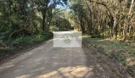 Sítio com 32.194 m², escriturado, próximo a cachoeira do salto