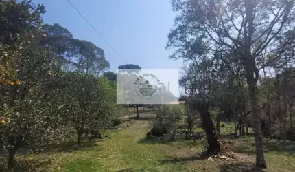 Sítio com 5.785 m², documentado, região de Avenquinha, com lago, araucárias