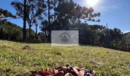 Sítio em Bateias de Baixo, com 19.991 m², com riacho e lugar alto para construção