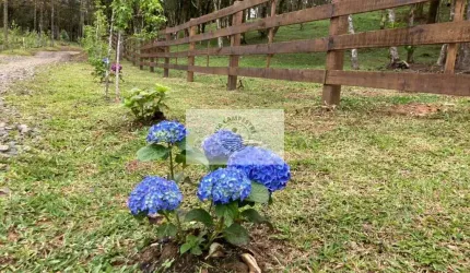 Terreno em Campo Alegre com 99.000 m², com pastagem, uma linda lagoa, escriturado