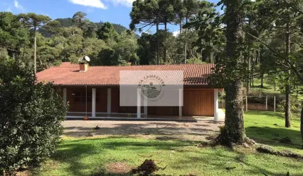 Chácara em Campo Alegre com ampla residência com 3 suítes, mais casa de hospedes, ranchos, riacho