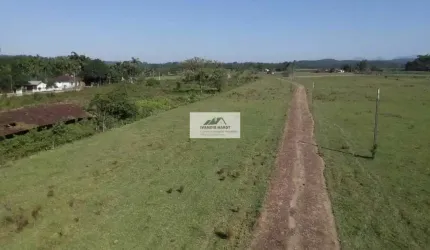 Área na Estrada da Ilha com 96.160 m², frente para o asfalto, toda plana e limpa