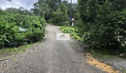 Amplo terreno urbano com 81.091 m², localizado na lateral da Rua Colon, bairro Gloria